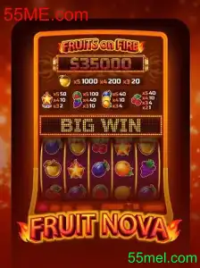 Descubra o Jogo FruitNova: Uma Aventura Colorida com 55ME.com